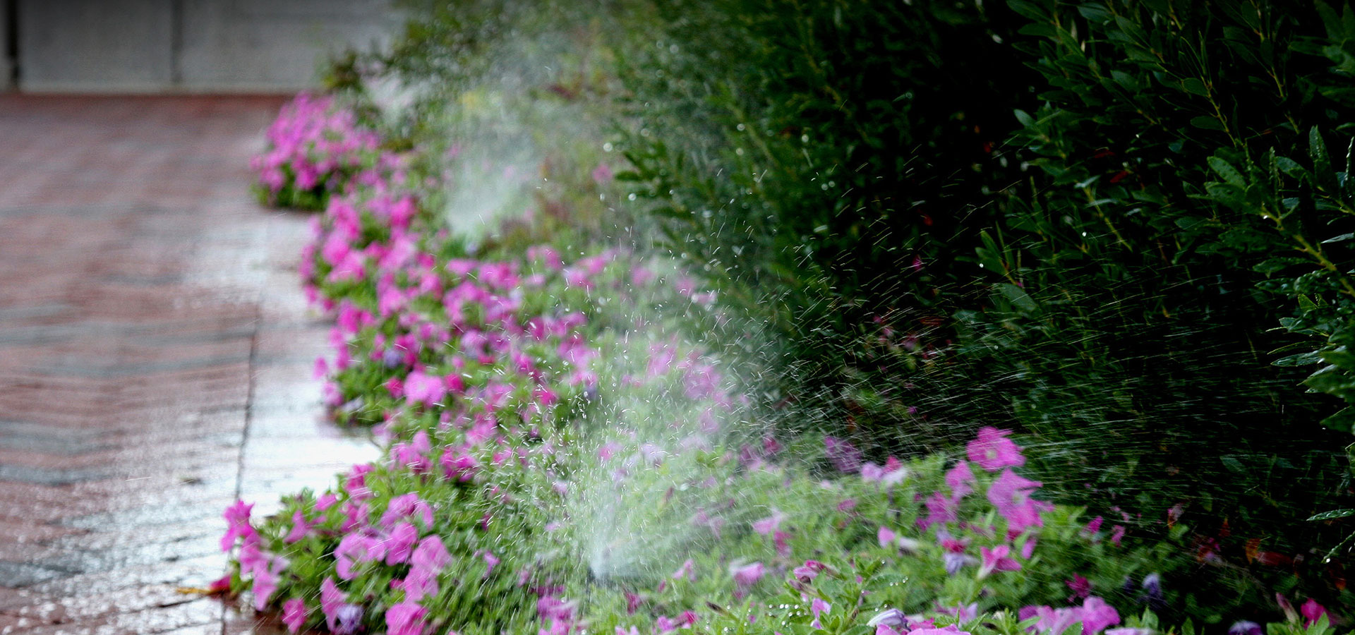 Cloudburst Lawn Sprinkler Systems